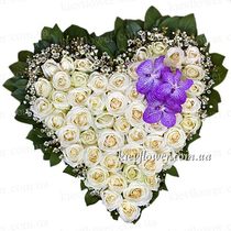 Heart of roses 